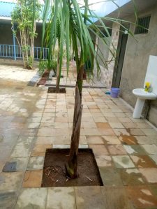 Building Construction and Home Construction