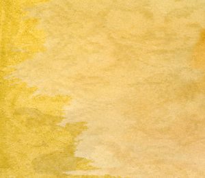 Background of Aleongolago Contractors