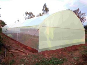 Wooden Greenhouses in Kenya, Installing Wooden Greenhouses in Kenya