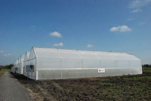 Greenhouses For Sale